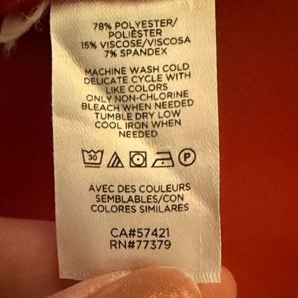 Ann Taylor Bold Burnt Sienna Pant - Picture 3 of 5